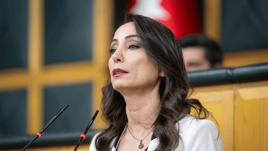Hatimoğulları: Kalıcı Barış Demokrasiyle Sağlanır